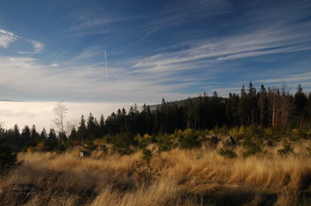 Šumava podzimní - inverze